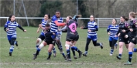 D6 Rugby féminin 22-01-23_0506