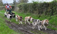 Z9 CdF Chiens de traineaux 22-11-05_013